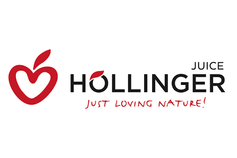 Hollinger Logo